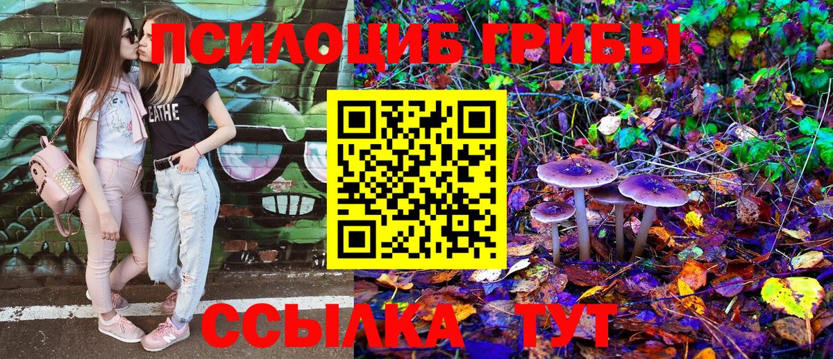 Галлюциногенные грибы MAGIC MUSHROOMS  Вход с VPN  Усть-Илимск 